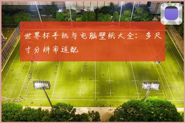 世界杯手机与电脑壁纸大全：多尺寸分辨率适配