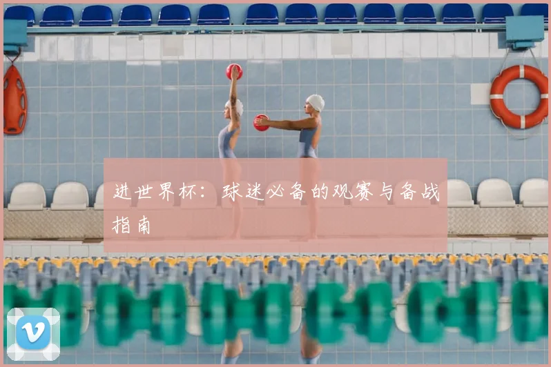 进世界杯:球迷必备的观赛与备战指南